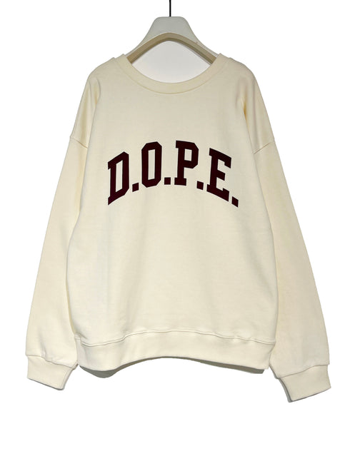 カレッジBIGロゴスウェット /8454-101KK