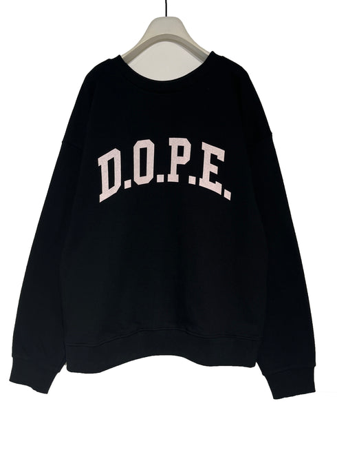 カレッジBIGロゴスウェット /8454-101KK