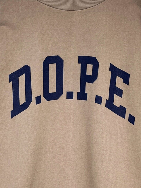 カレッジBIGロゴスウェット /8454-101KK