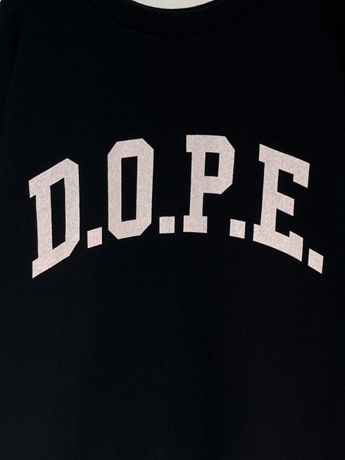 カレッジBIGロゴスウェット /8454-101KK