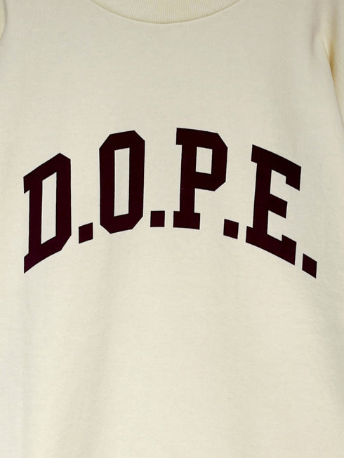 カレッジBIGロゴスウェット /8454-101KK