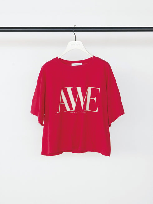 "AWE"プリントクロップドTee / 8462-403KK