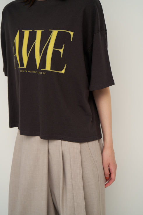 "AWE"プリントクロップドTee / 8462-403KK