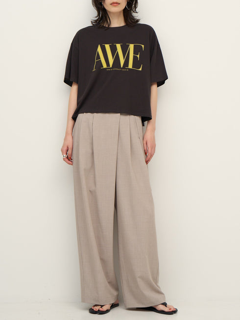 "AWE"プリントクロップドTee / 8462-403KK