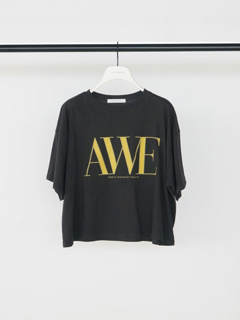 "AWE"プリントクロップドTee / 8462-403KK