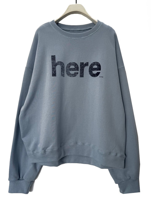 カスレロゴスウェット /8456-498KK