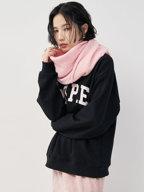 カレッジBIGロゴスウェット /8454-101KK