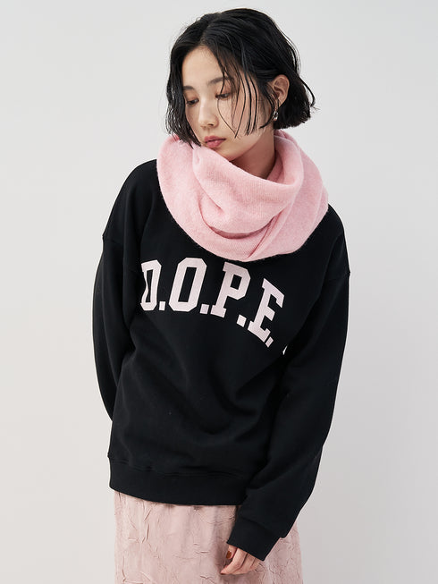 カレッジBIGロゴスウェット /8454-101KK