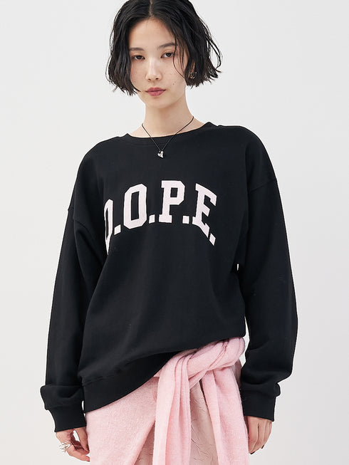 カレッジBIGロゴスウェット /8454-101KK