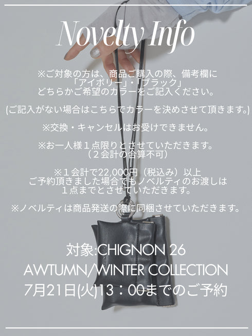 <CHIGNON ・SPECIAL NOVELTY>